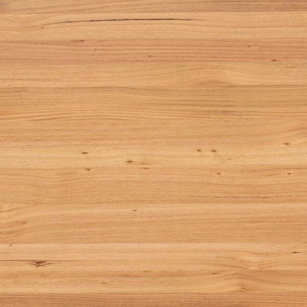 Prefinished Tasmanian Oak FOSB Panel 2745x1220x19